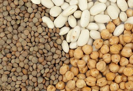 la produccion de legumbres crecio un 57% y marco un nuevo record en cinco anos