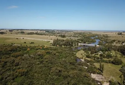rematan campo de 56 hectareas sin base en jose ignacio