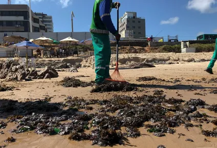 petrolero de bandera griega es el principal sospechoso de marea negra en brasil