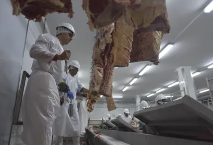 ano agricola 2019/2020: caida de 4,13% en ingresos por exportaciones de carnes