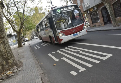 primera semana de fiscalizacion de carril solo bus: el 97% de las multas fueron por vehiculos mal estacionados