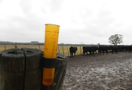 lluvias dispares en el campo: el impacto en cada zona declarada bajo emergencia agropecuaria