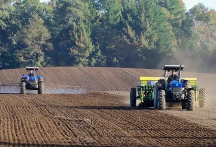 reconstruir mejor en el ambito de la alimentacion y la agricultura