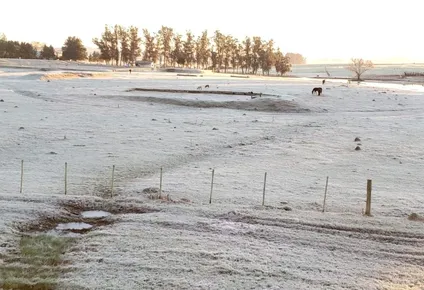 se vienen frios intensos, ¿como impactaran en cada rubro del agro?