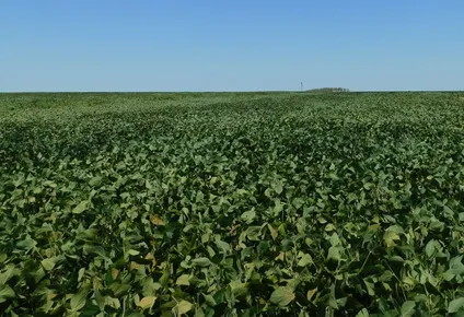 ciclo de charlas de basf, esta vez sobre yuyo colorado