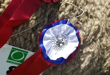 se viene la expo prado que se recordara como la de la pandemia