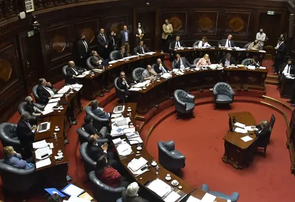 del ?buen padre de familia? a ?lindos planes sin recursos?, el senado debate el presupuesto