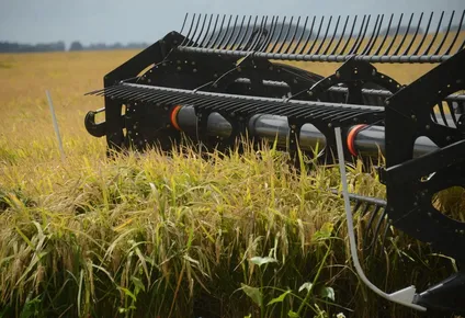 Cosecha de granos, puntal de la agroindustria en Uruguay.