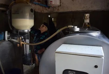 conaprole duplico la bonificacion estacional en el pago de la leche a los tamberos