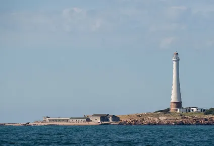 Isla de Lobos, Punta del Este