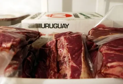 inac sale en defensa de los beneficios del consumo balanceado de diversos tipos de carne