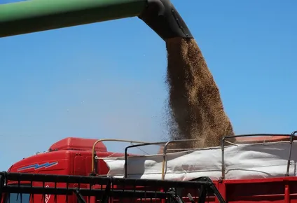 Las exportaciones tuvieron un muy buen desempeño en el arranque de año.