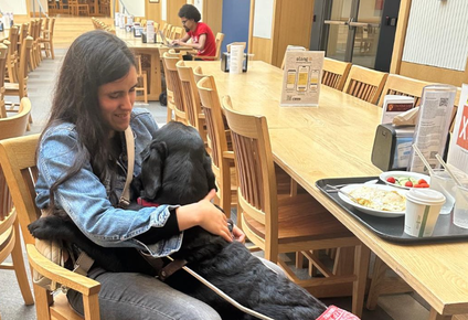 presidencia asegura que se soluciono el problema para milagros costabel y su perro guia: podran ingresar a uruguay para navidad