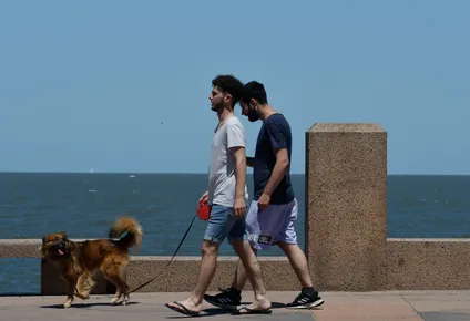 Se espera un día soleado en Montevideo