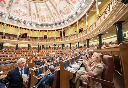 Vista general durante un pleno en el Congreso de los Diputados.