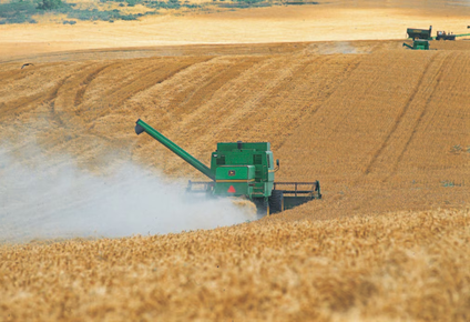 Producción y exportaciones agroindustriales argentinas en 2025: proyecciones y desafíos