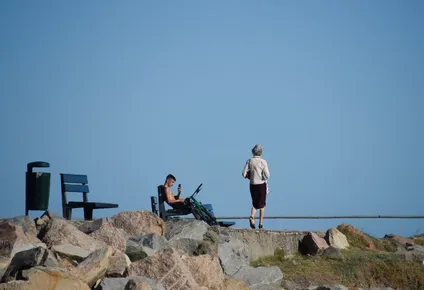 Ola de calor