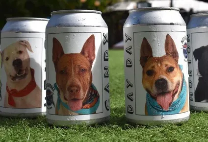 como unas latas de cerveza llevaron a una mujer a reencontrarse con su perra perdida