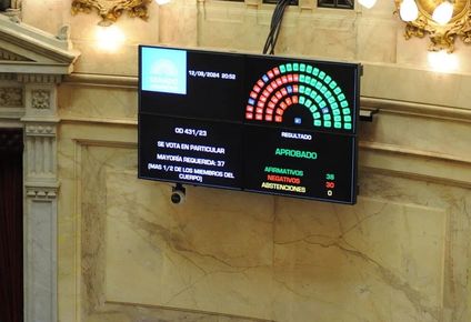 el senado aprobo con cambios y devolvio a diputados el proyecto sobre boleta unica de papel