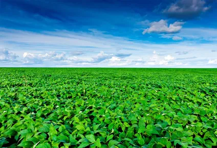 ciclo de charlas de basf sobre malezas en cultivos de verano