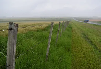 En Rivera y el noreste de Tacuarembó las lluvias fueron bastante favorables