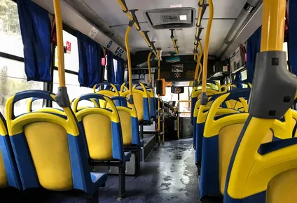 transporte: los omnibus en montevideo funcionaran con frecuencia similar a la de los domingos