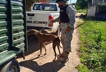 Procedimiento conjunto del INBA y del Ministerio del Interior.