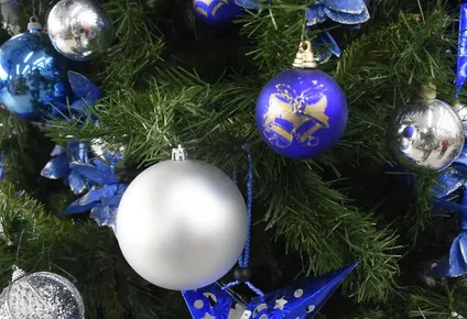 se viene la navidad: como proteger tu arbol de las aventuras felinas