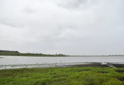 Laguna del Cisne