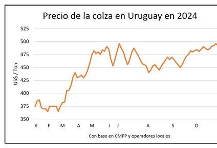 Granos: precios inestables en la mayoría de los casos.