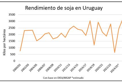 Soja: en marcha una cosecha récord en volumen.