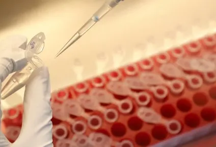 vacuna contra el coronavirus: nueve farmaceuticas se comprometen a cumplir todas las fases antes de salir al mercado