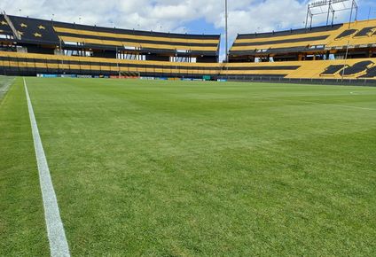 El estado del césped del Estadio Campeón del Siglo mejoró mucho