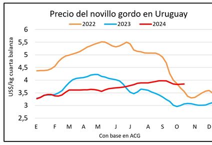 Mercado ganadero, Blasina y Asociados.