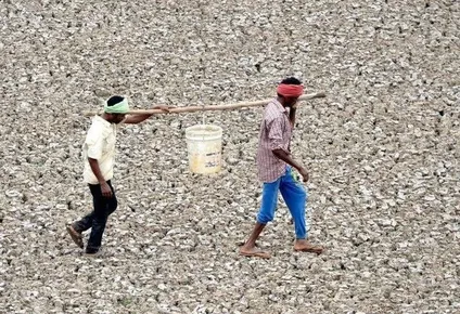 Casi un tercio de la población global, cerca de 2.600 millones de personas, vive en países en situación de estrés hídrico extremadamente alto, según el informe.