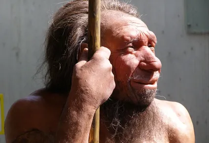 Genes neandertales pueden hacer que seamos más madrugadores.