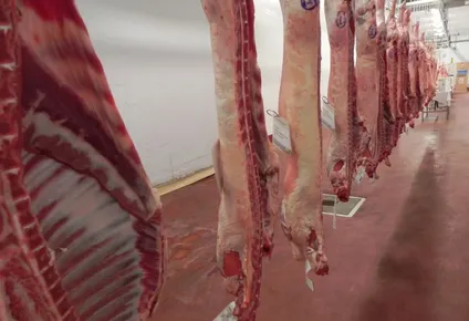record para exportacion de carne vacuna y de cerdo en brasil