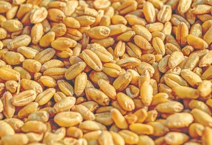 precios record en brasil para las principales materias primas agricolas