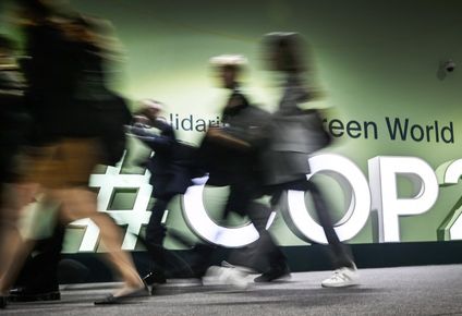 cop29: ¿que podemos esperar de esta cumbre climatica?