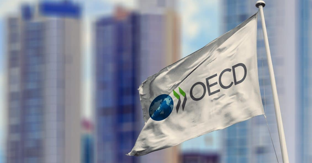 Proyecciones económicas de la OCDE para Argentina: caída en 2024 y recuperación en 2025
