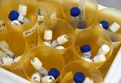 se cumplio una semana con menos de diez casos diarios de coronavirus en uruguay