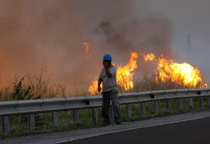 catastrofe ambiental: arden 50.000 hectareas del pantanal brasileno