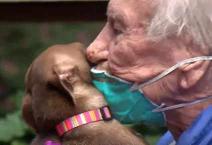 el hombre de 86 anos que sufrio un acv y la reaccion de su perra le salvo la vida