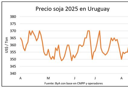 Granos: semana positiva para la soja.