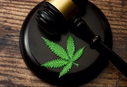 Detienen a una banda que enviaba marihuana a Alemania por correo.