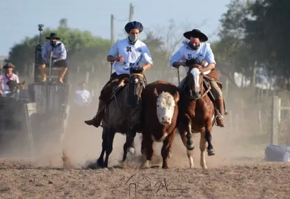 Con el box 34, la mejor de las tres yeguas que Don Poro colocó entre las mejores de la región.