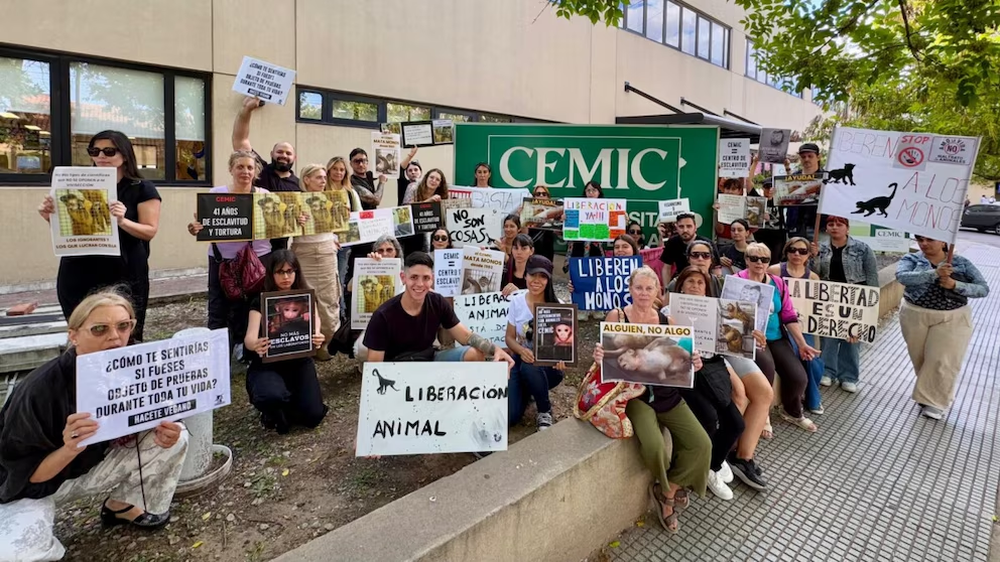 En diciembre, activistas se manifestaron frente al CEMIC para que liberen a los monos.