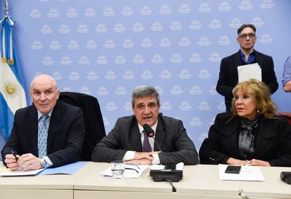 El diputado Pablo Yedlin presidió el plenario de Comisiones para tratar los pedidos de informe sobre le fentanilo contaminado.&nbsp;