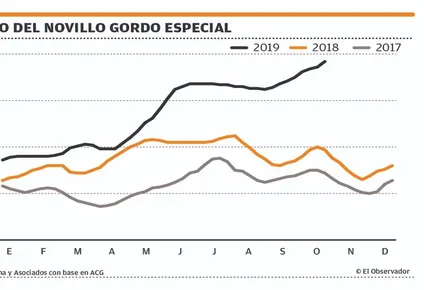 novillo especial cruza los us$ 4,35 por kilo y resiste intento de baja