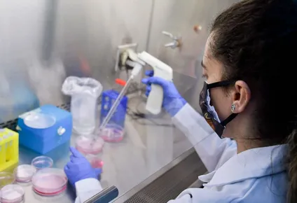 La variante Andina, como también se le denomina, está presente en 15 países, según estudio